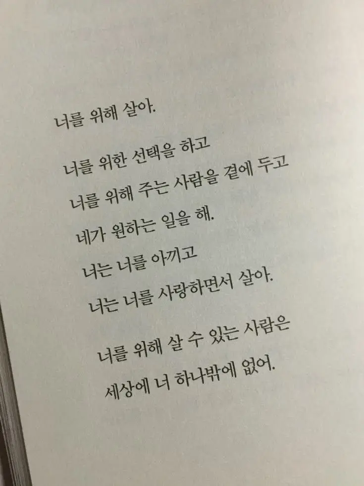 sin_ji_ah의 하얀 꽃을 피우세요.