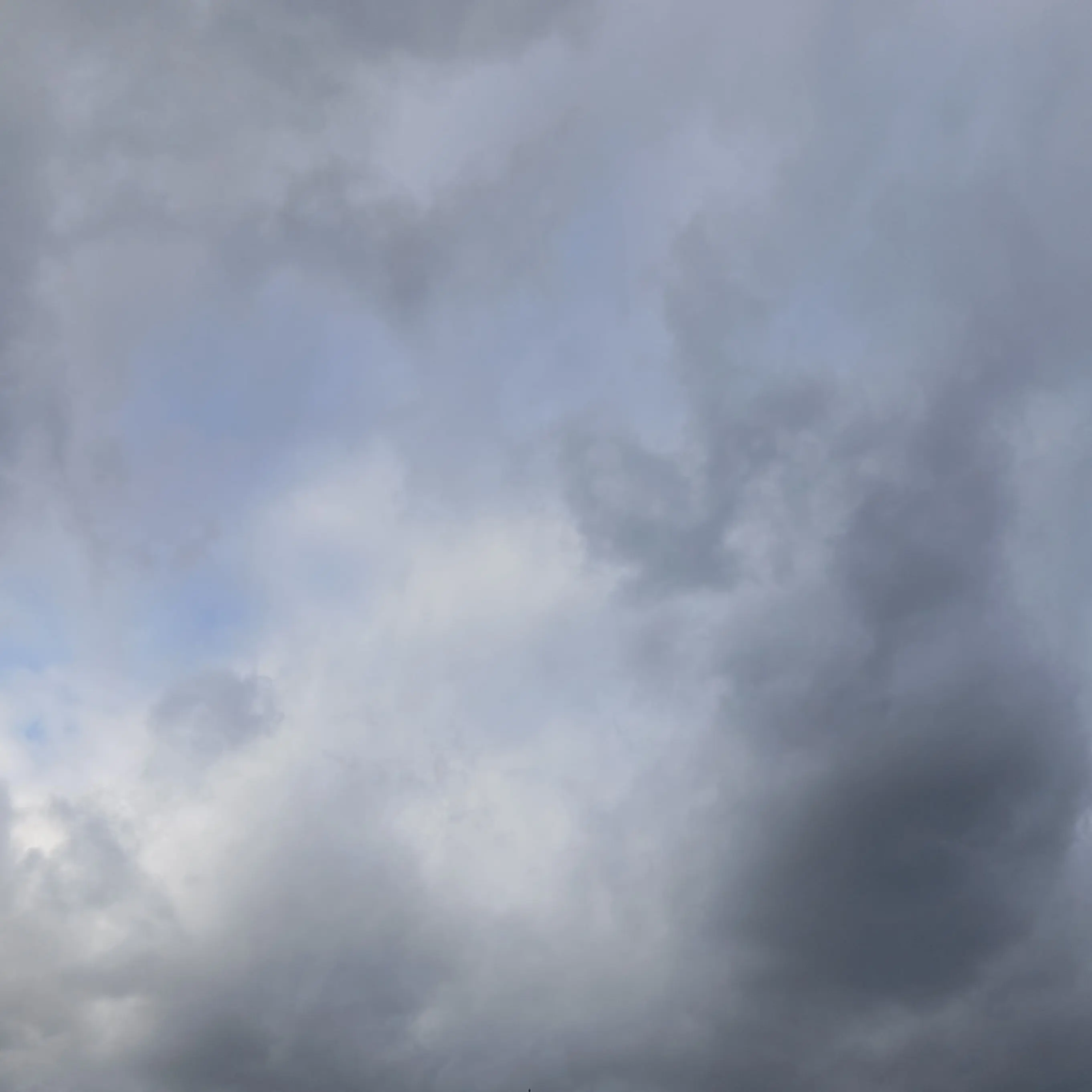 Kimistp의 ...진심이냐..?