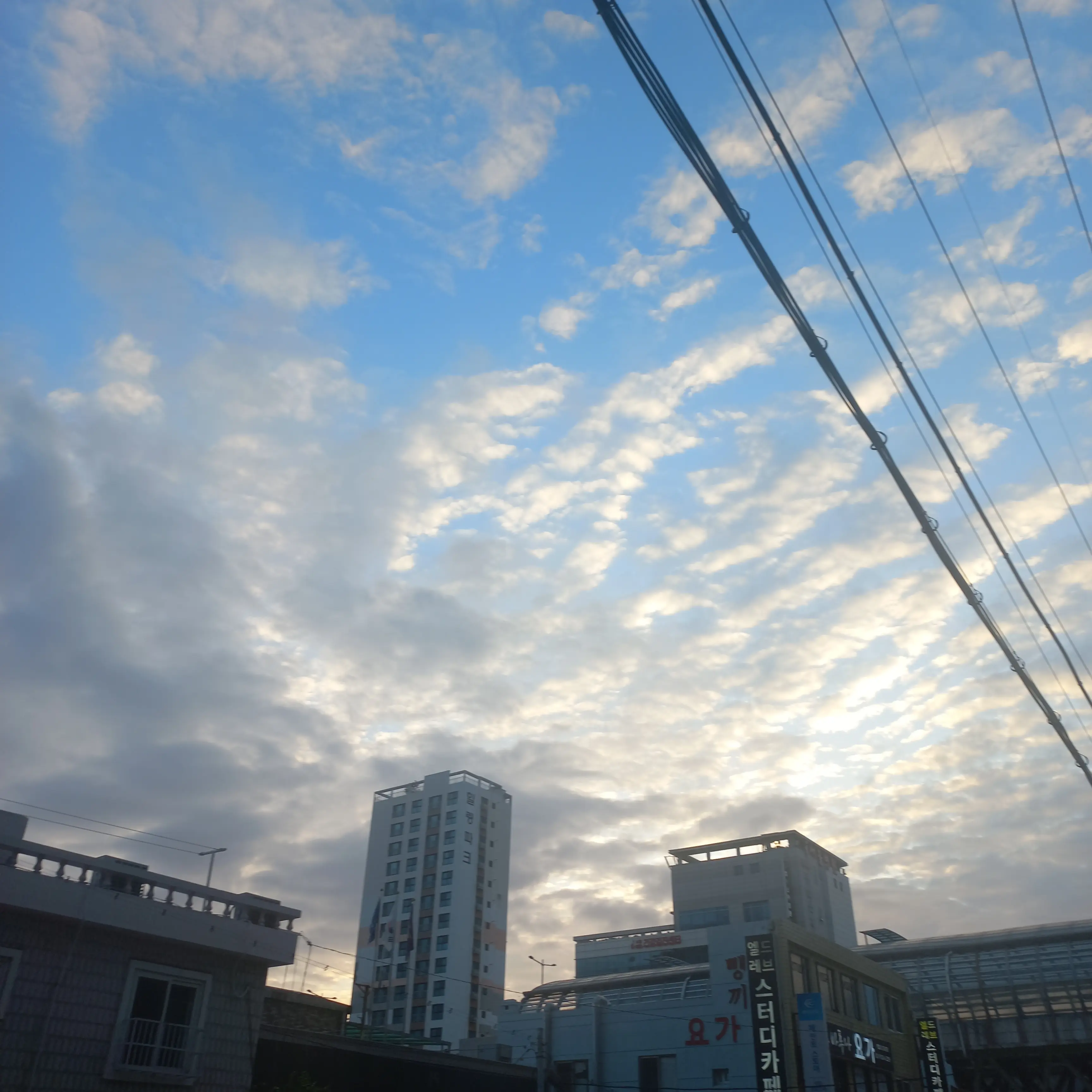 LovedBrick7462의 아이브가족