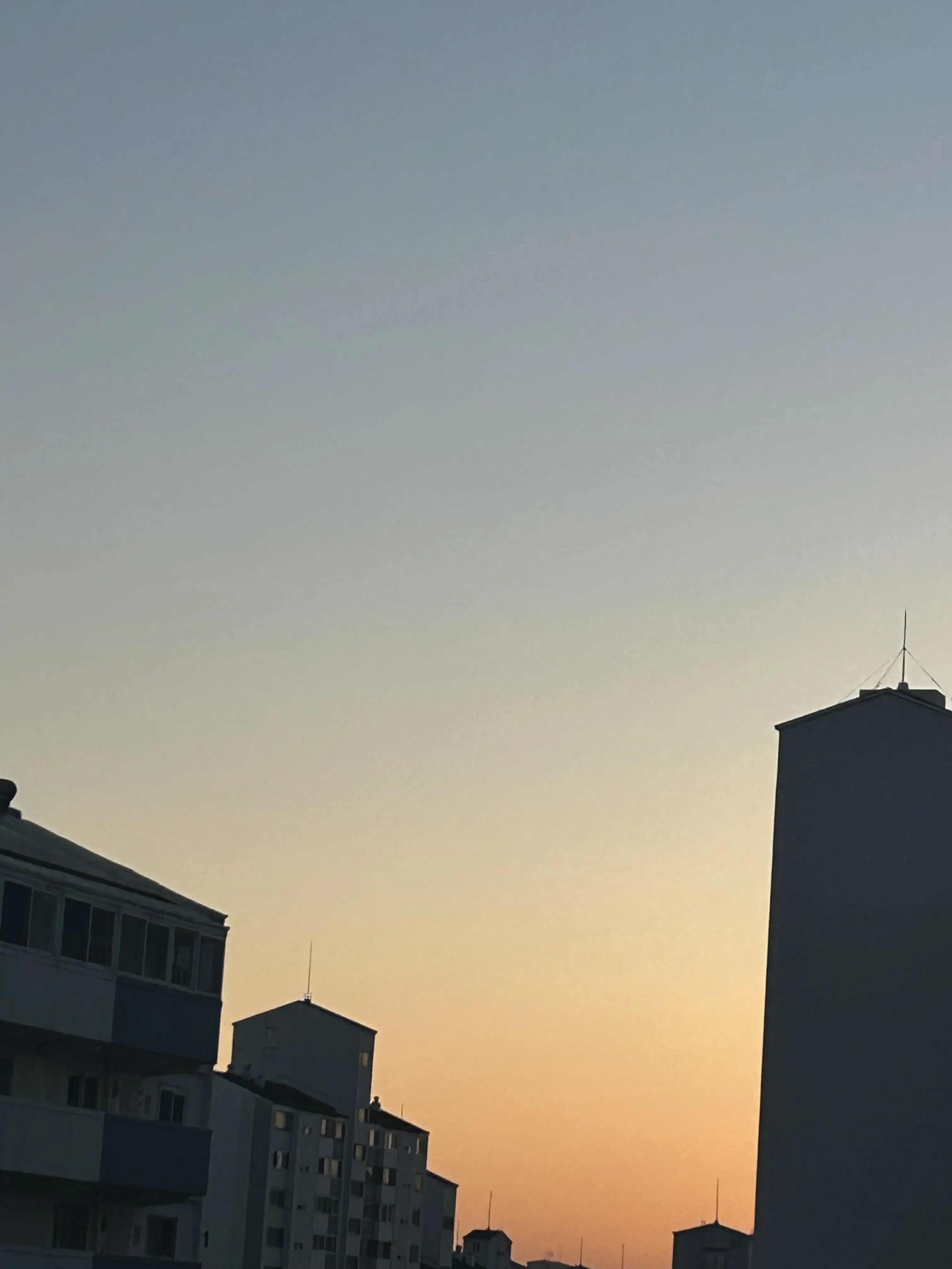 SilverTiger의 수인학교 뜰팁