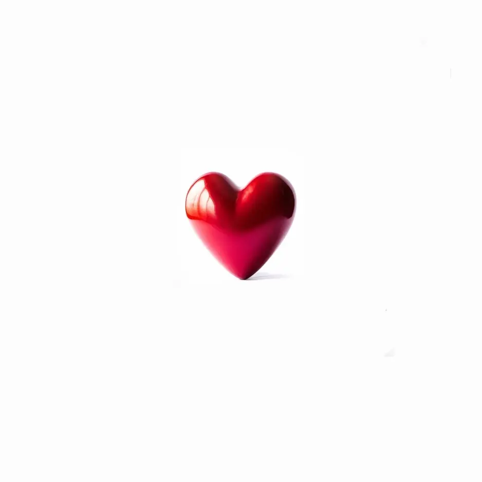 Blblblblblblblblblbblbl5551의 박서후