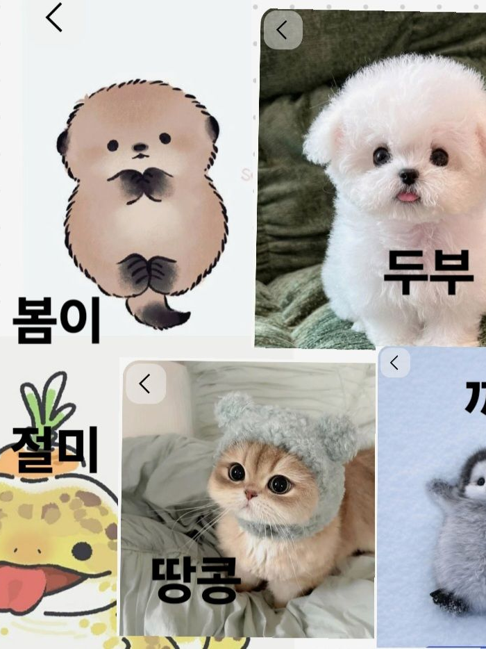 동물 입양하기 대표 이미지
