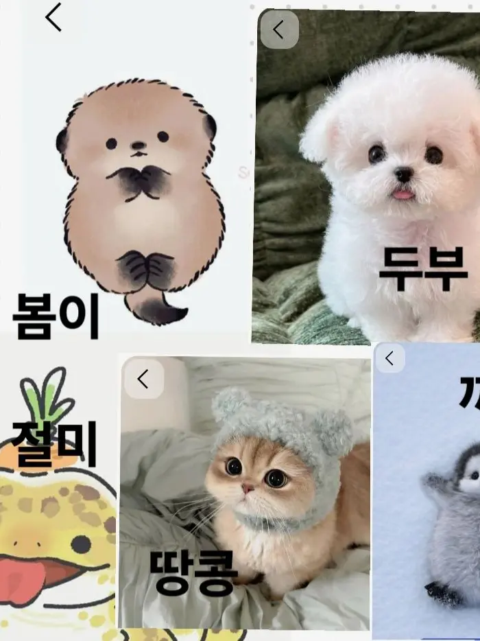 WiryStale5344의 동물 입양하기