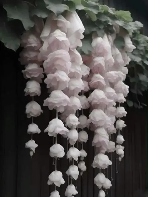 Yaayyy의 バンダンセイクン ‐ BL◎NL◎