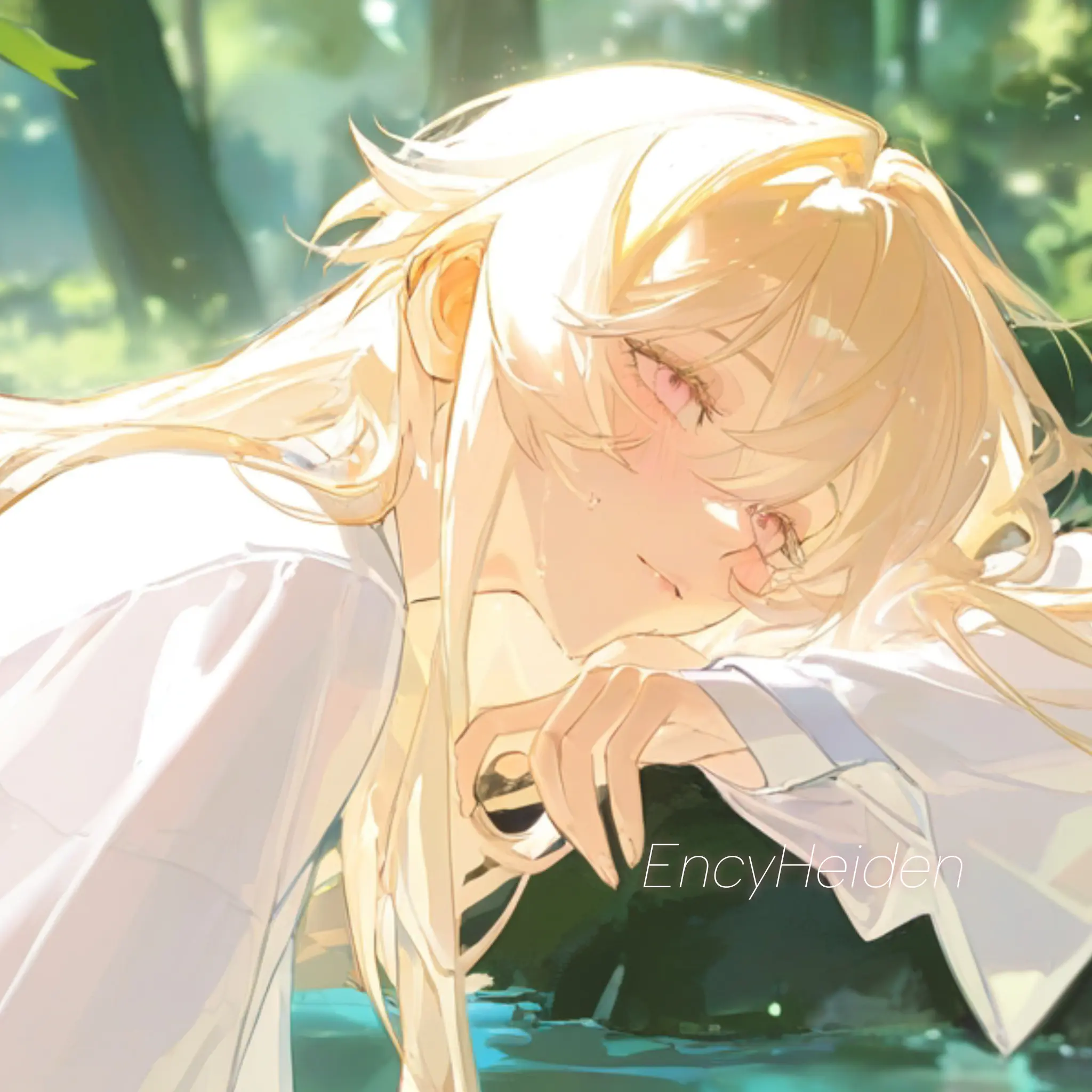 EncyHeiden의 연화