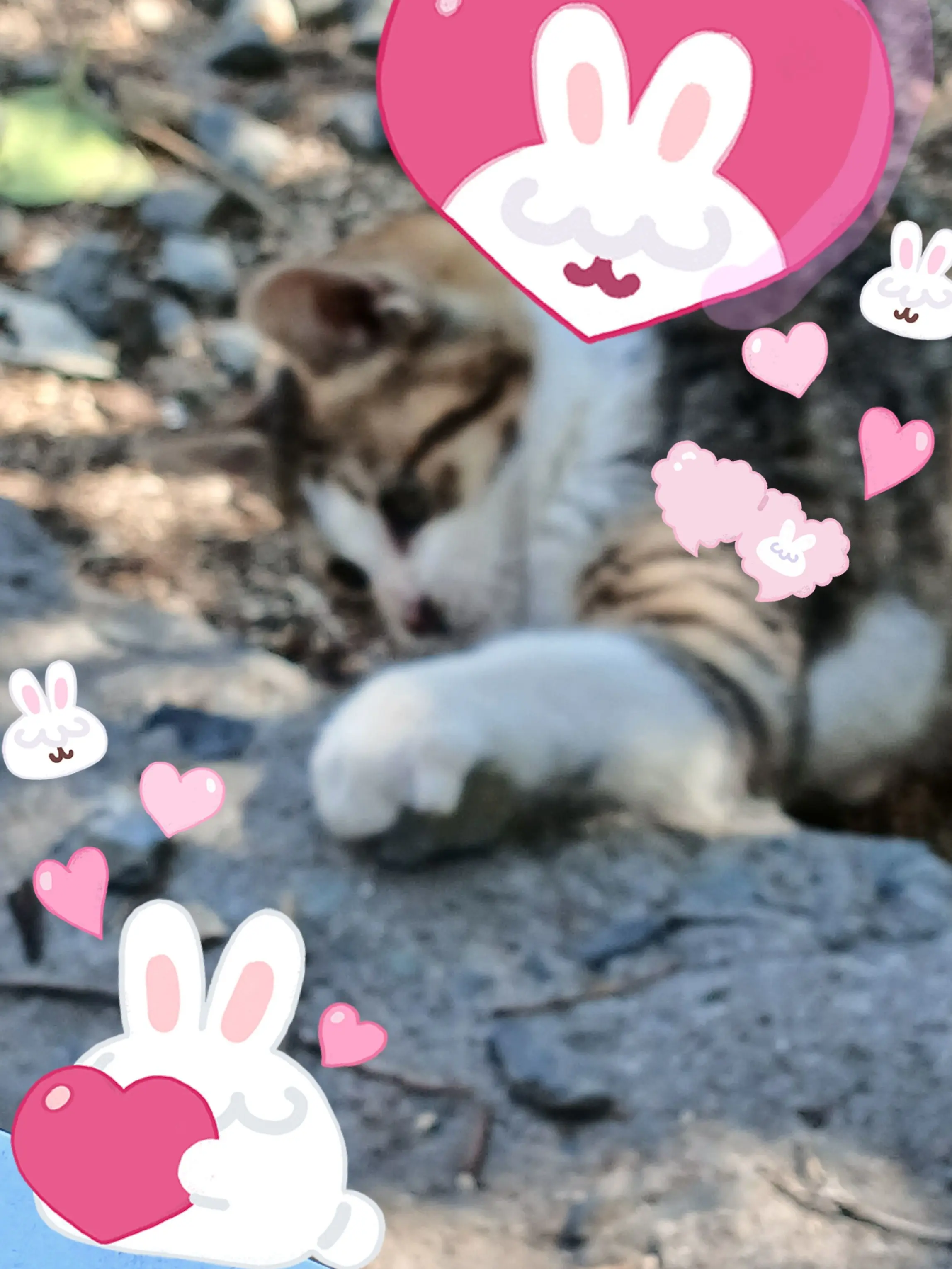 LovedPig9325의 재가 자기전에 생각남ㅋ