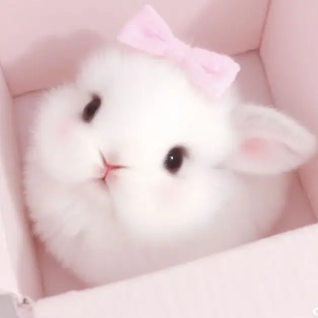 Kanagawalove의 関東組