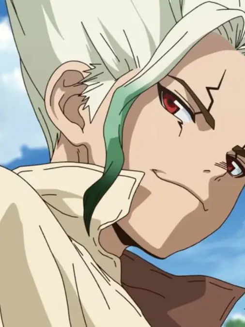 SuppleLion5131의 Dr.STONE