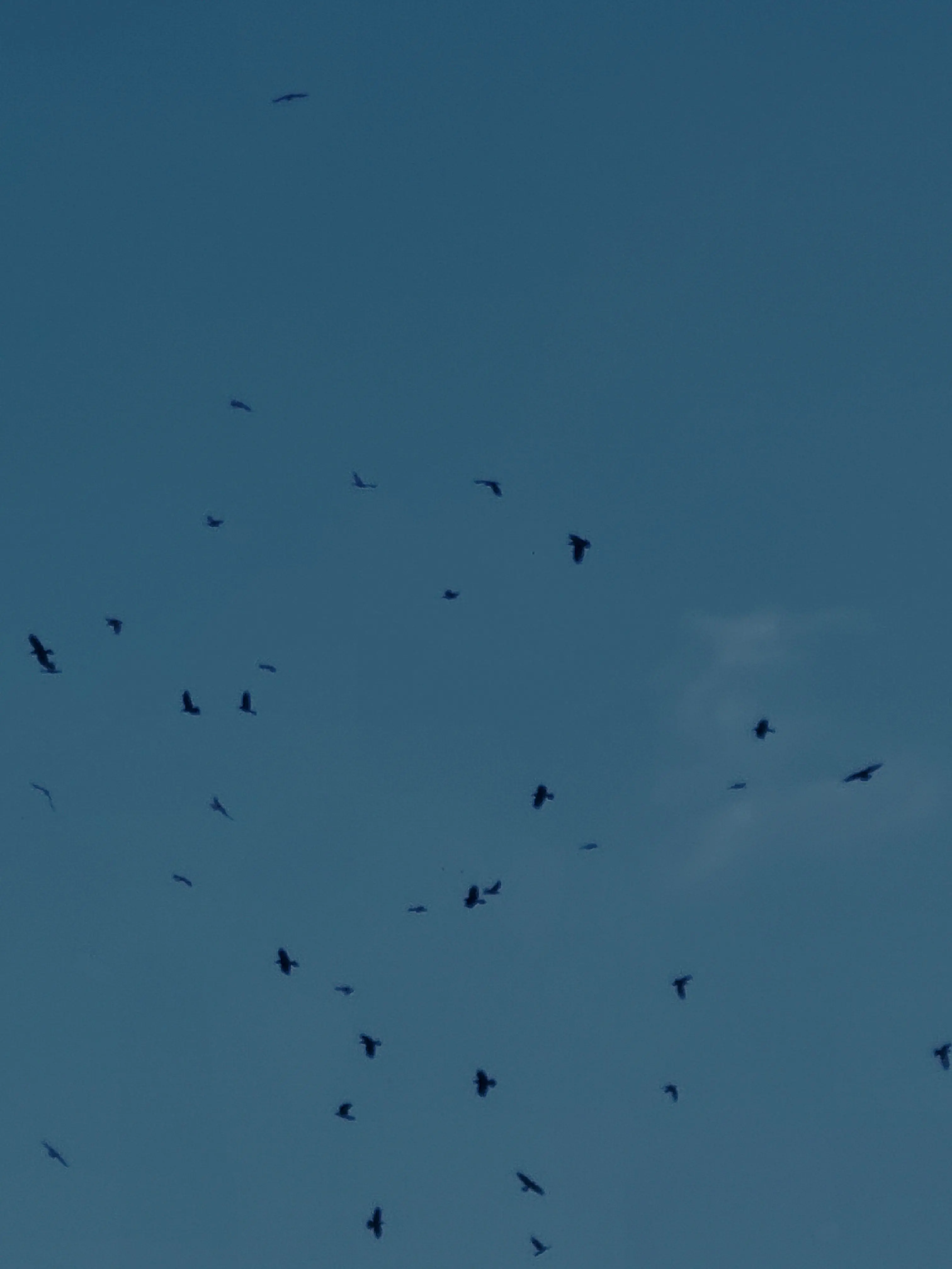 flashing의 옛날 옛적에.