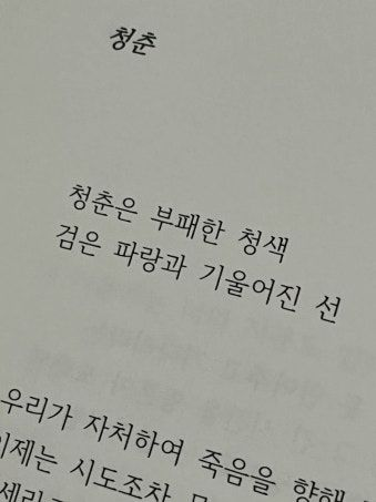 이런 망할 청춘 대표 이미지