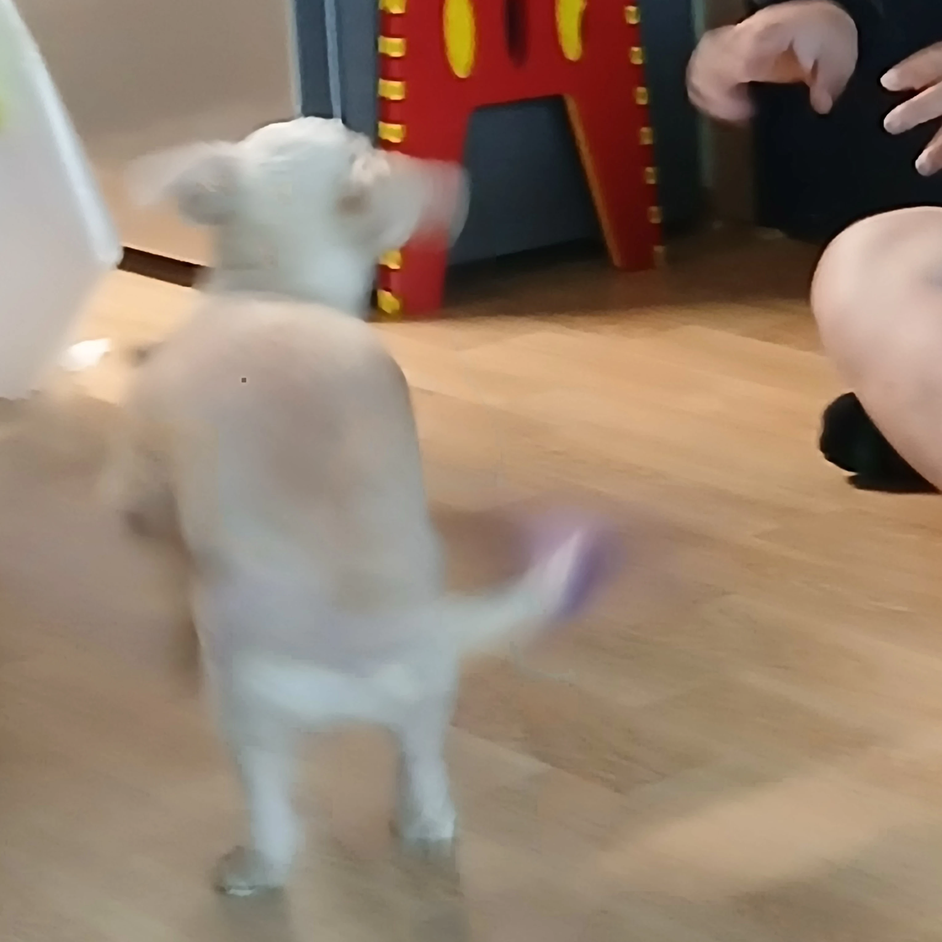 애들 어렸을 때