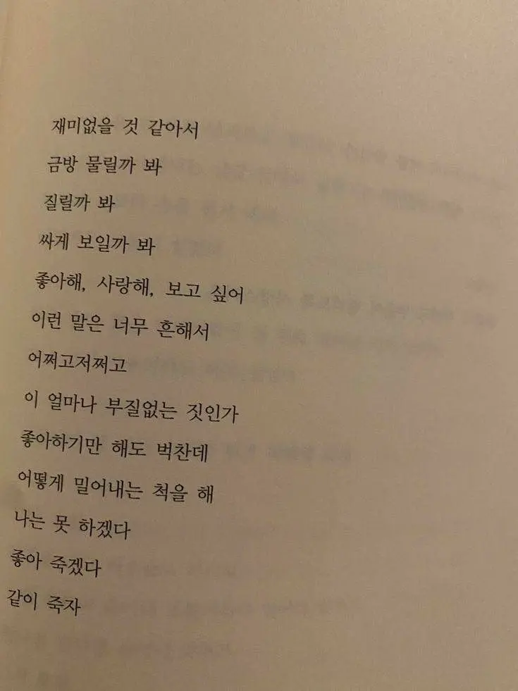 Fakecat의 러브홀릭