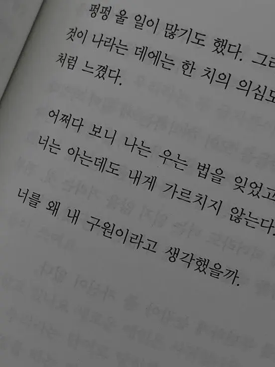 UglyCard0729의 구원자.