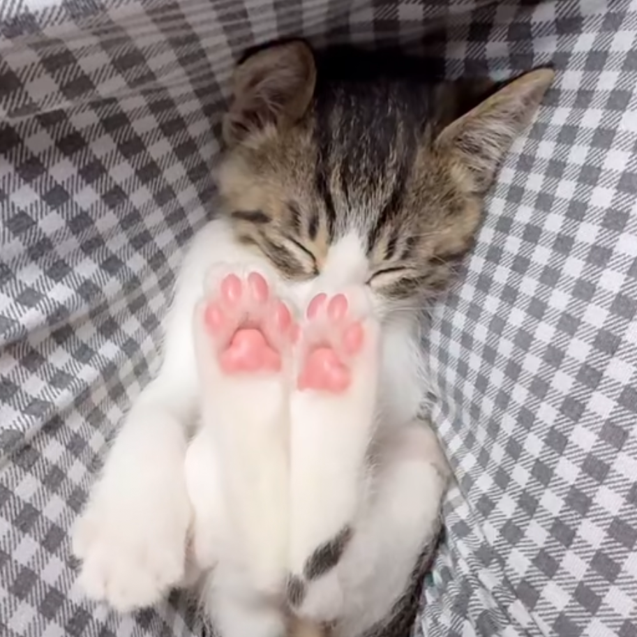 황현진 대표 이미지