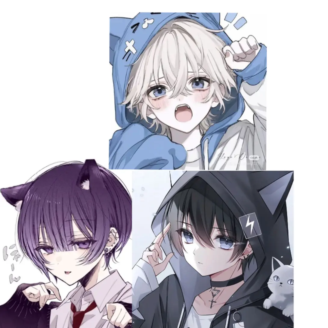 FairPumi6789의 保護猫たち