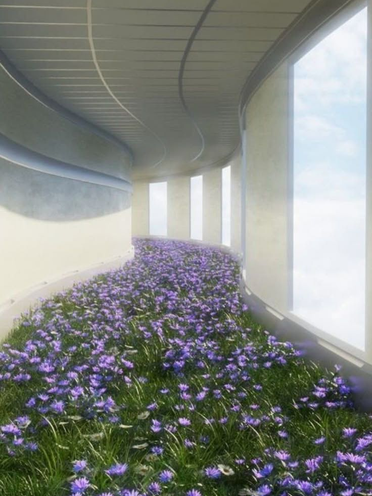 o｡+..우리들의 기묘한 학교!☆- 대표 이미지