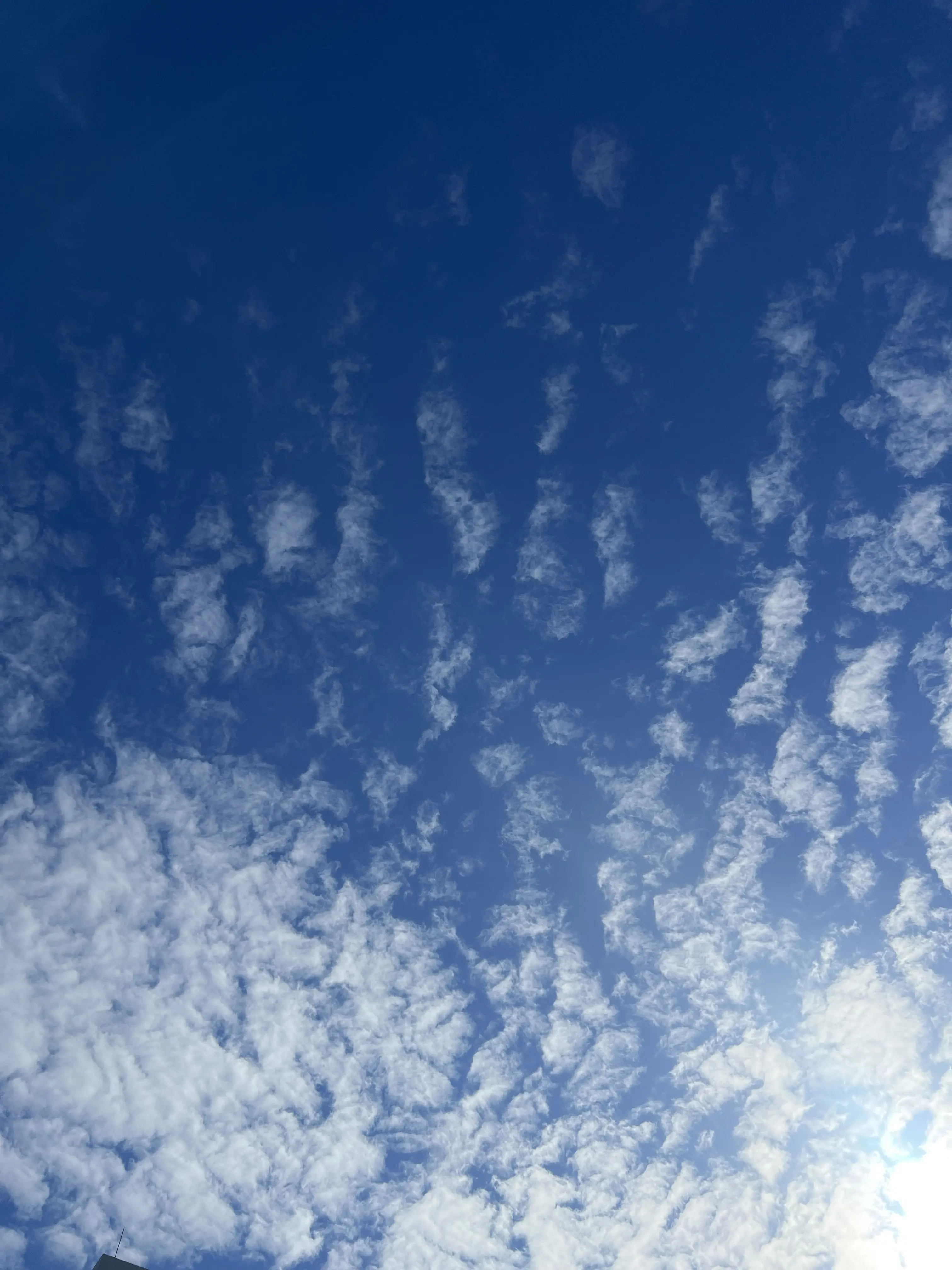 FoulFlute3787의 역시 니가 열쇠였구나?