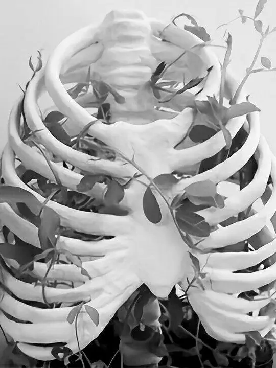 98_only.cubic의 죽어서도 네 곁에 있을게 _ 부산조