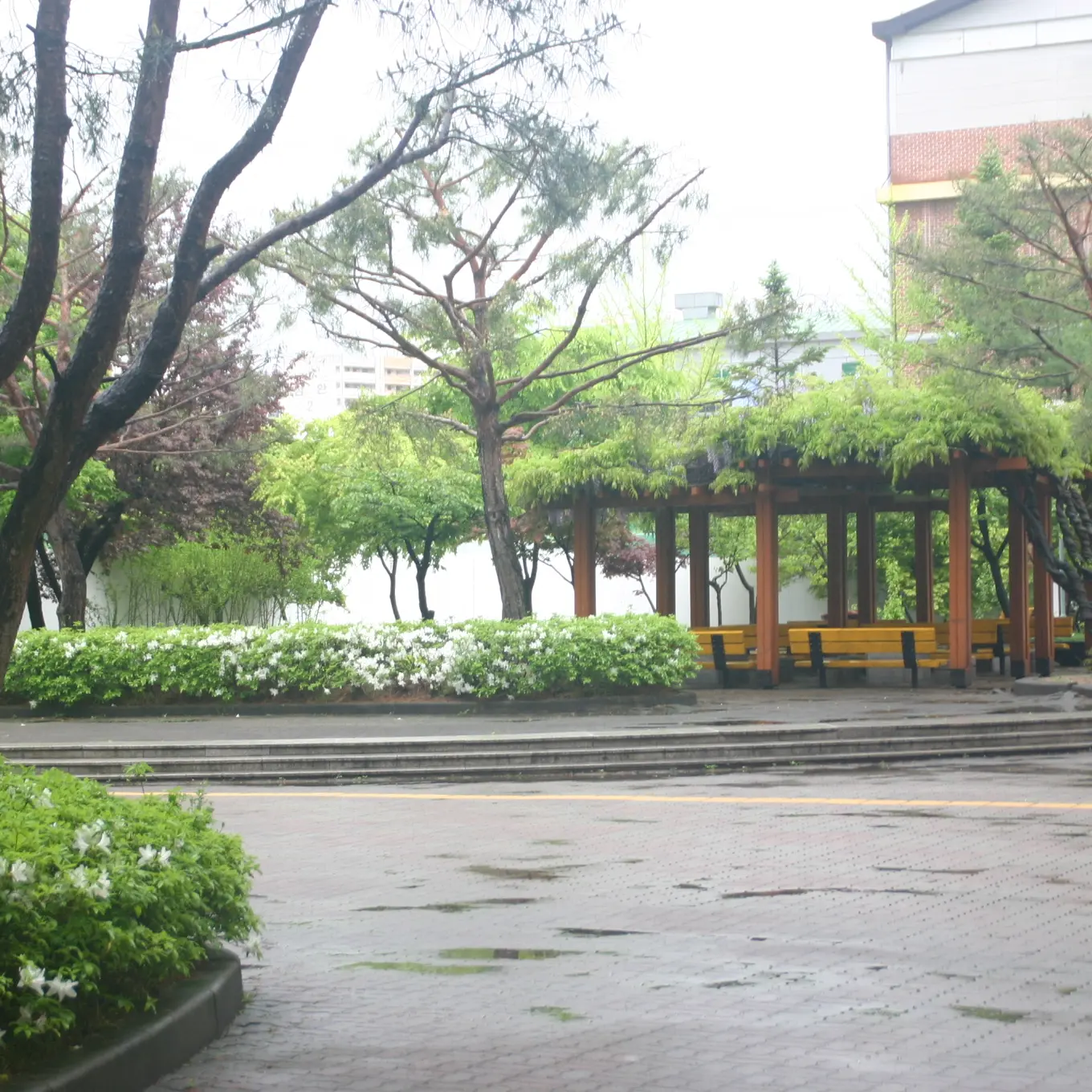 MaroonFrame7737의 고등학교