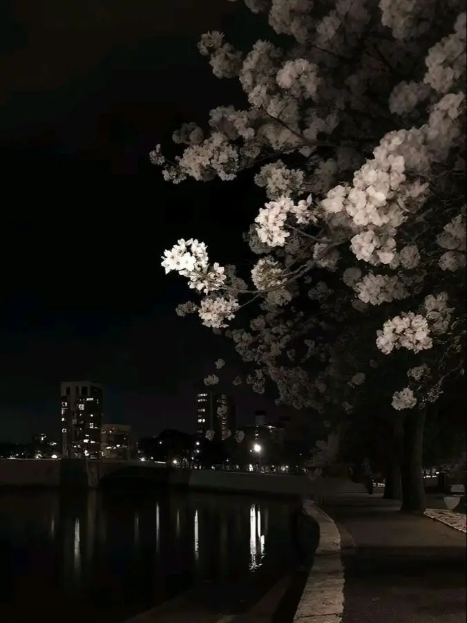 H.Y.N의 나의 썩은 청춘에, 네가 껴도 될까.