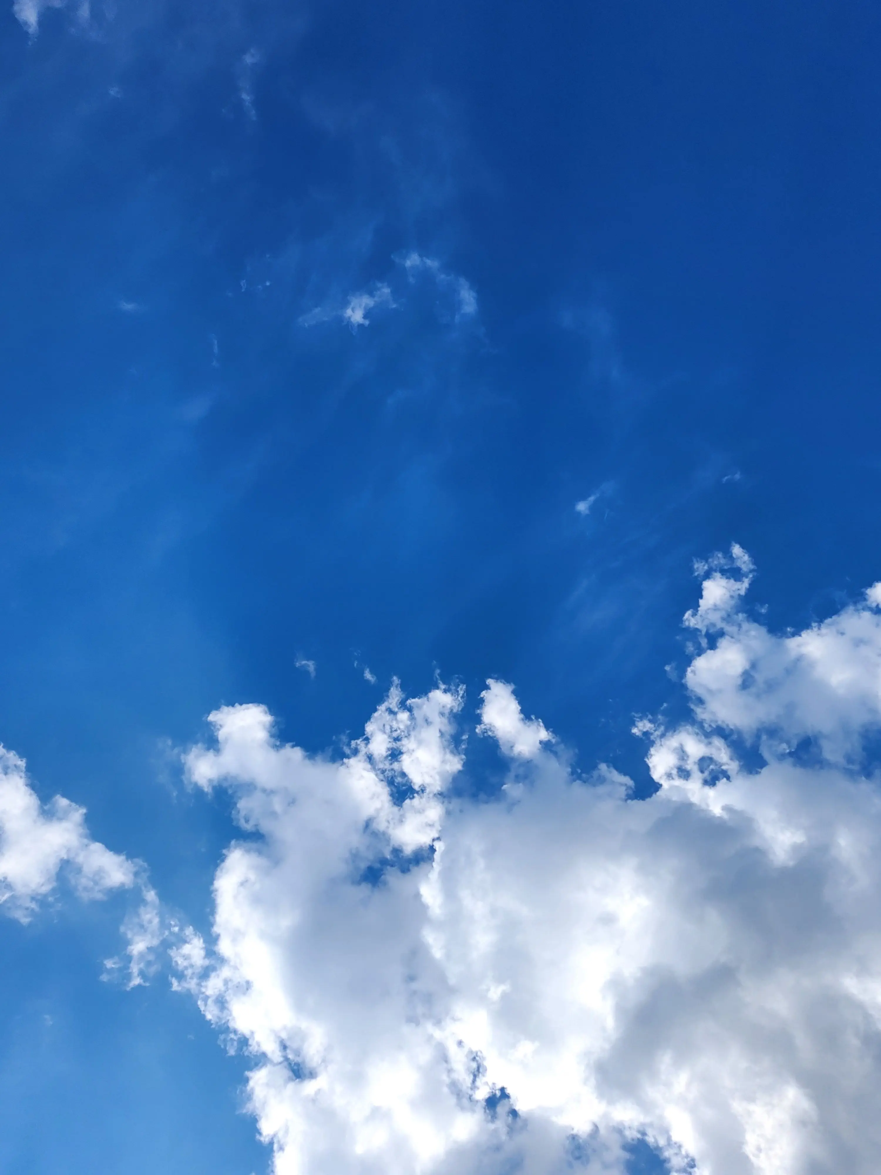 HungryThigh2647의 이민호