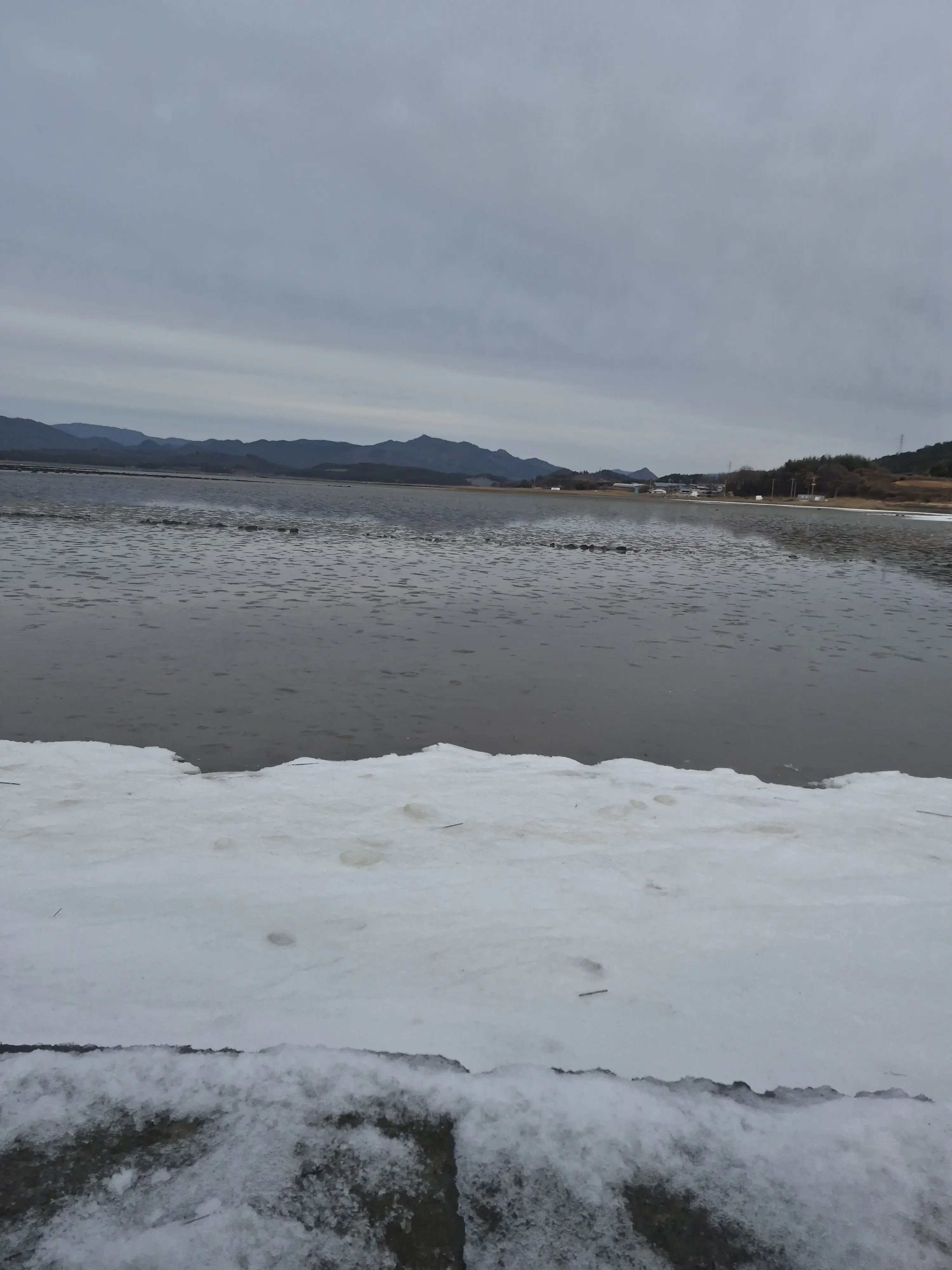 PinkLand7486의 남녀무리