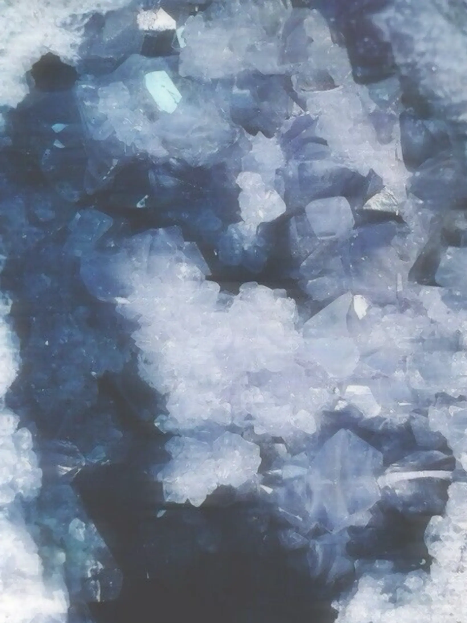 h03h1의 ✄