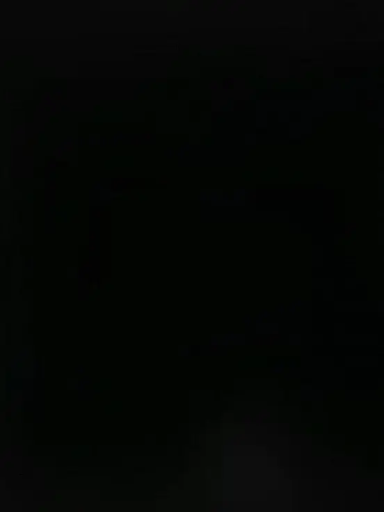 ehani의 스파이짓