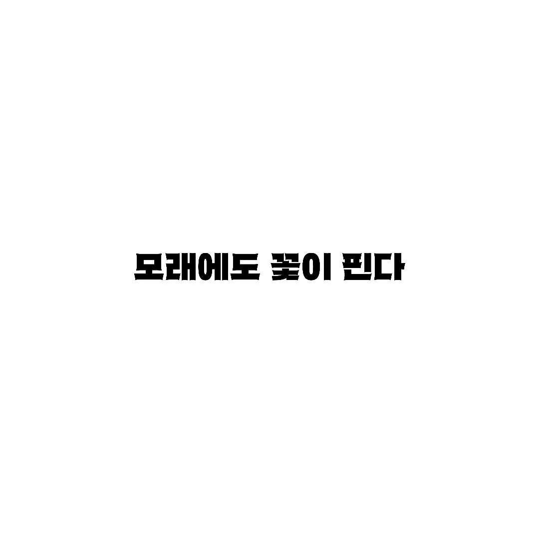 모래에도 꽃이 핀다