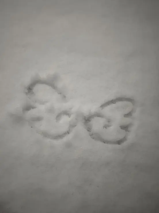 nyan_45의 寂しがり屋なうさぎ彼氏 ᶻ𝗓♡