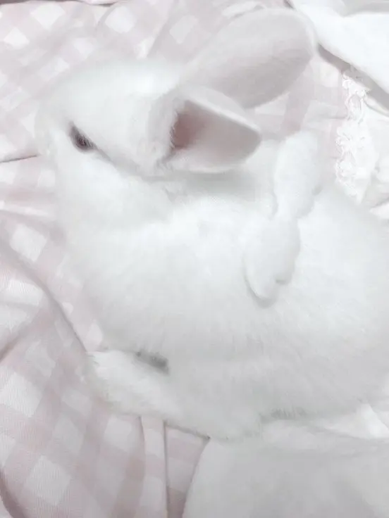 _wishluv의 Sweet Jaemin 🎼♡