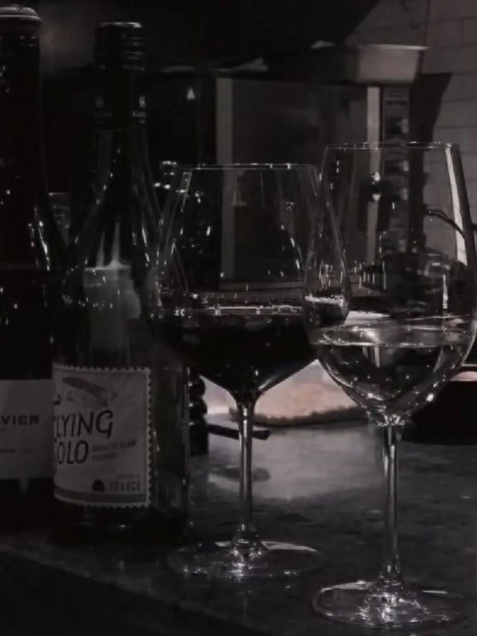 knt_hbr_zeffiro의 バニーボーイ