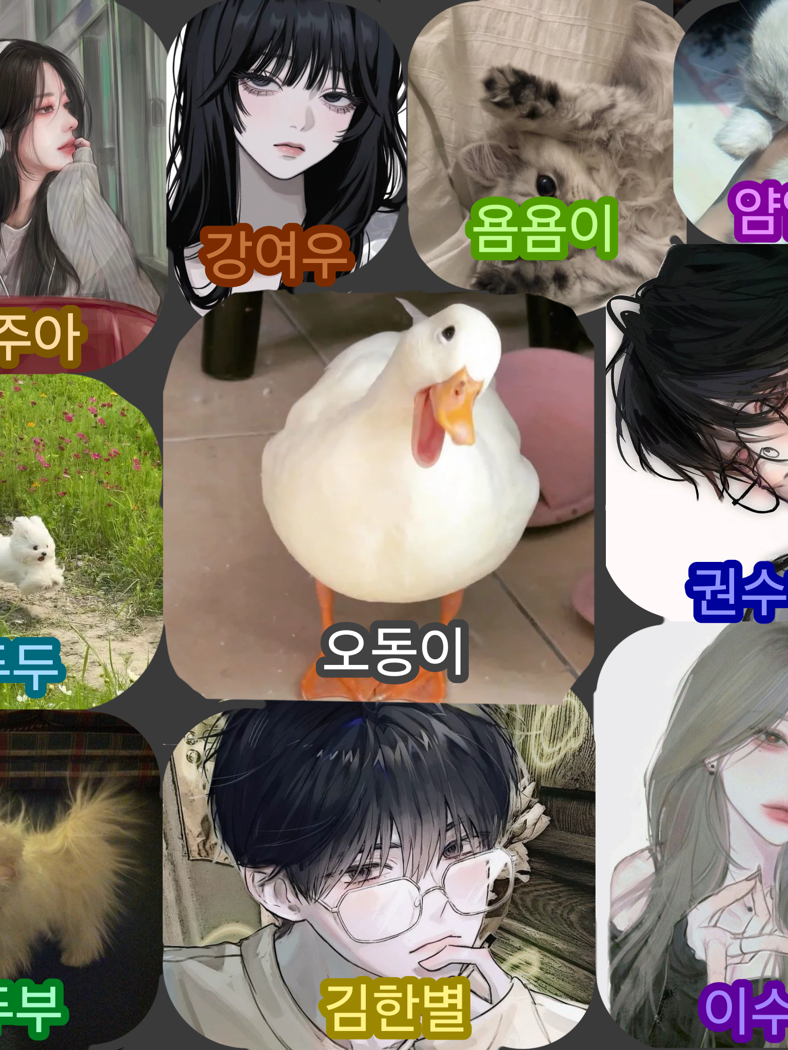 남녀무리와 동거(여우+반려동물) 2탄 대표 이미지
