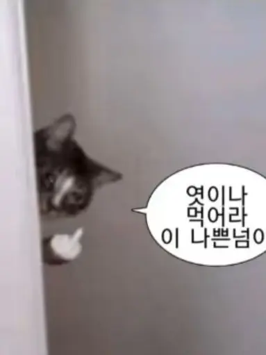 TXTTXTTXT의 욕쟁이 단톡