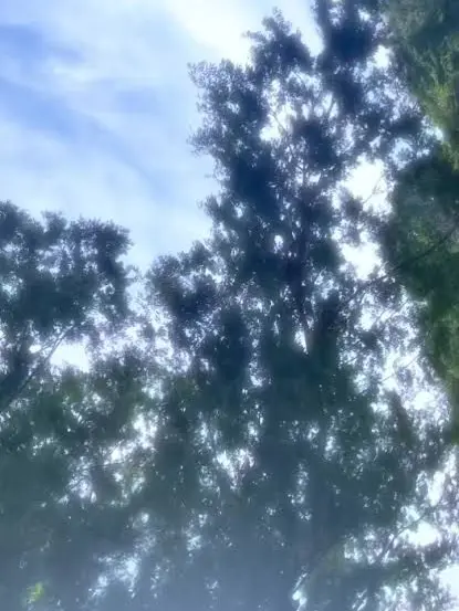 GaudyTetra2843의 有名実況者と豪華声優とシェアハウス