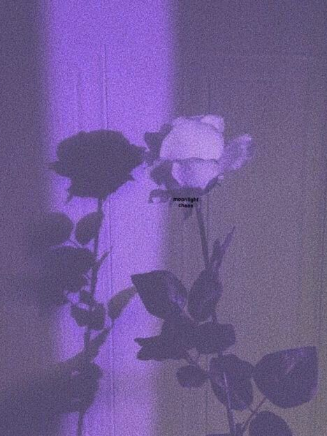 0107 대표 이미지