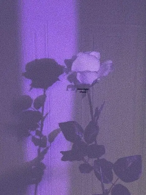 nomoistchocochip의 "출석 번호 0번 그아이"