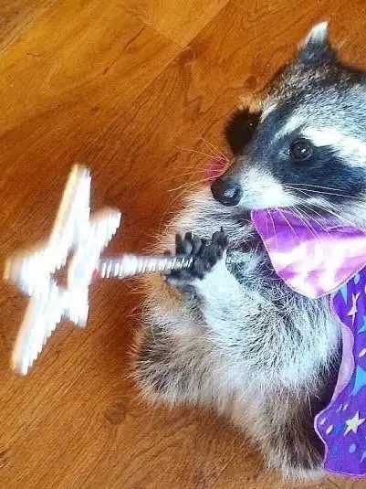 Takotakotacos의 おじいちゃん！