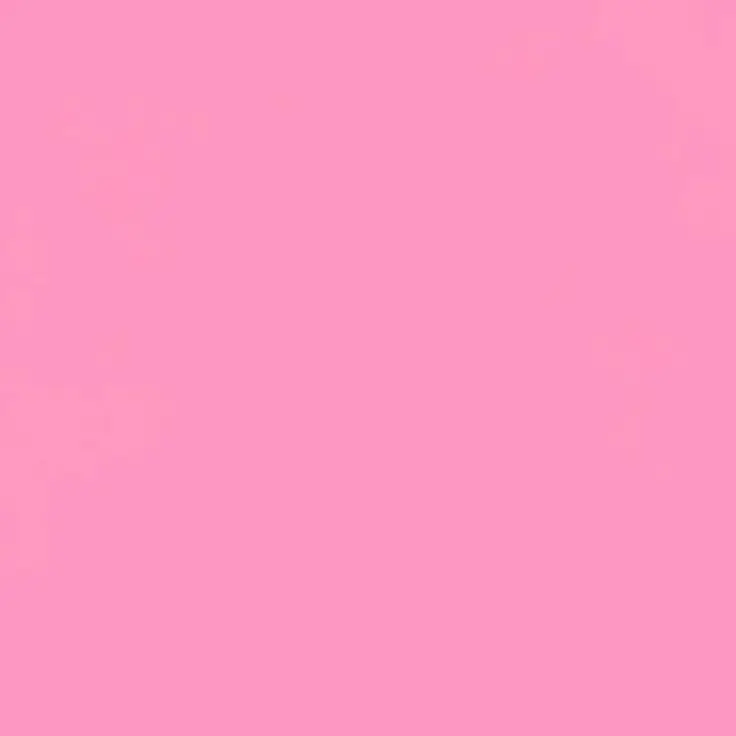 nono_0331의 9匹の猫