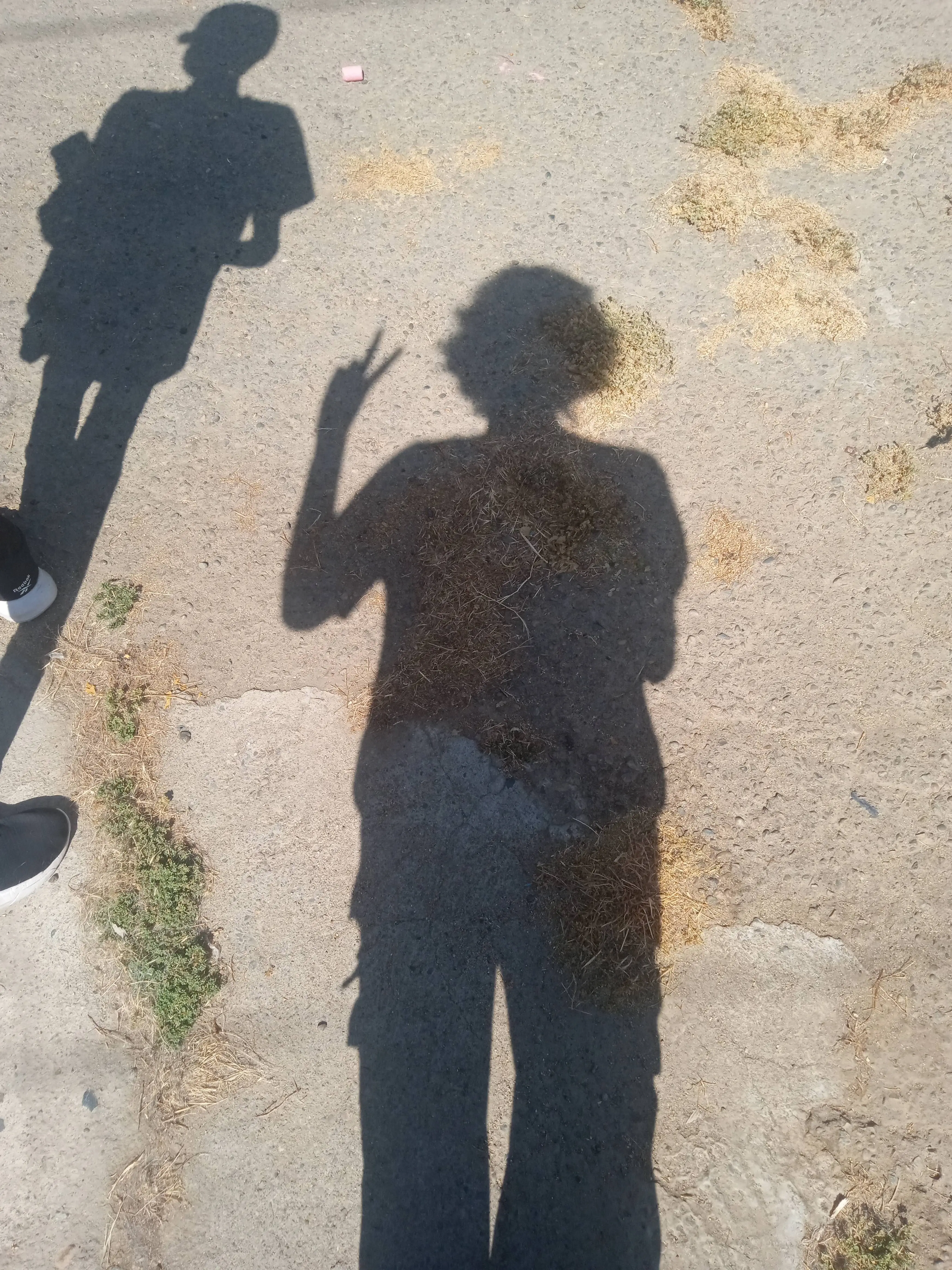 Sirius_MoonflowerDee의 Sirius -Your older brother