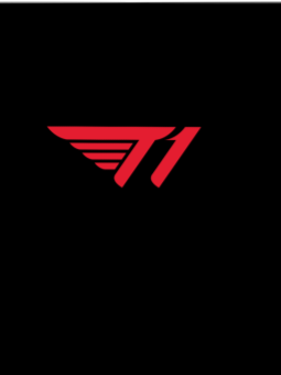 T1+여우(수영장) 대표 이미지