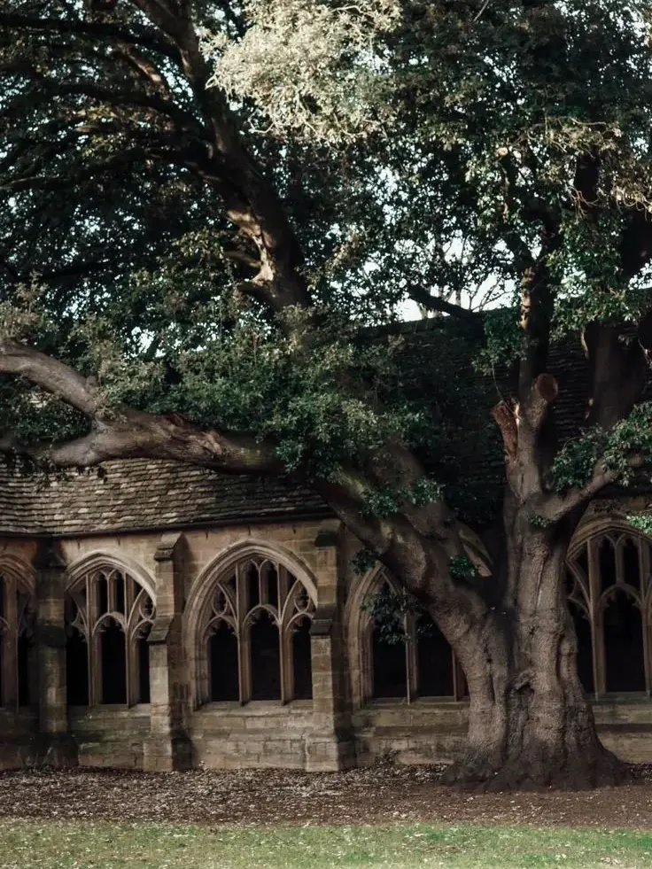 7o2.roxy의 harry potter cast!