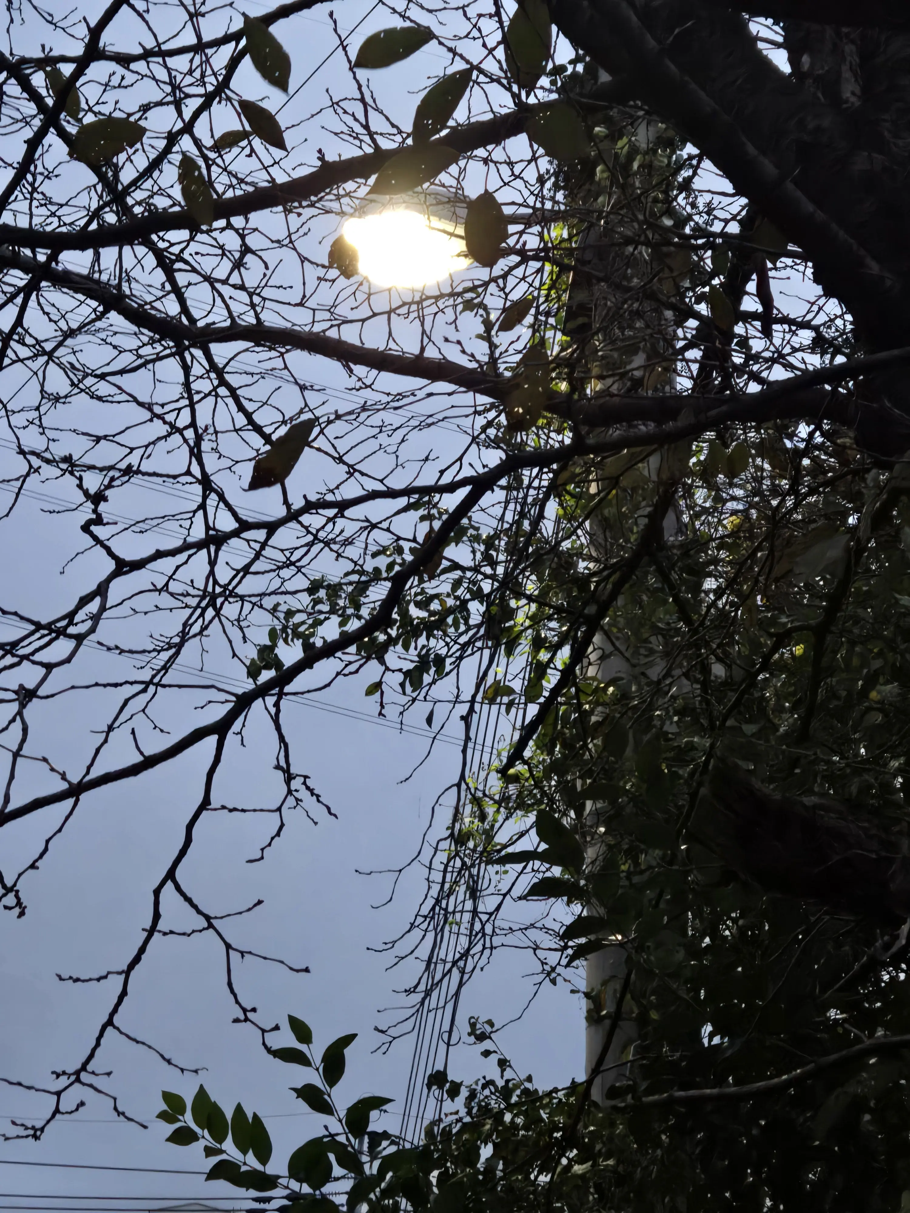 LongHeat4212의 5반인 우리들