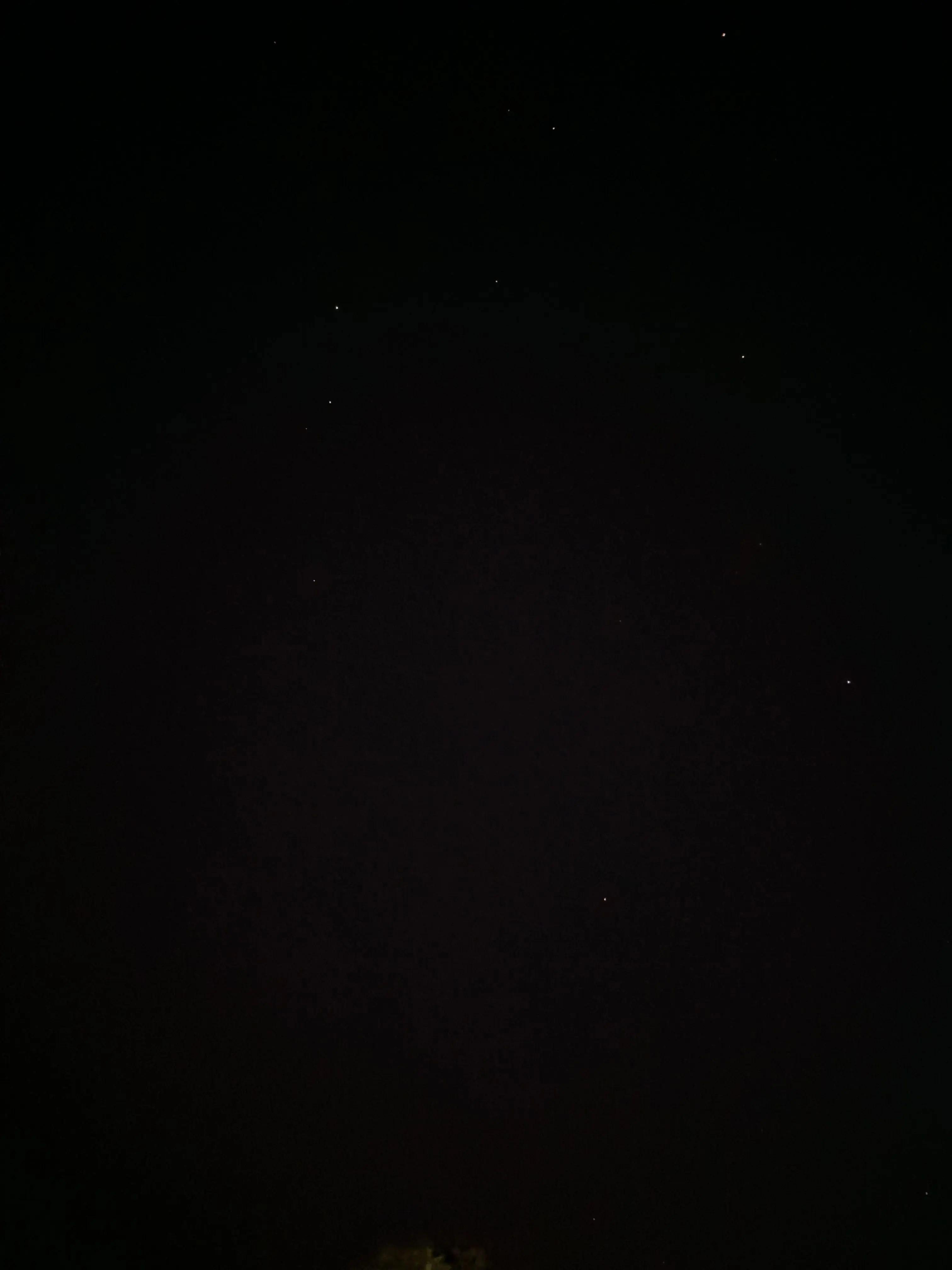 FlimsyFluff6818의 ONEPIECE飲み会