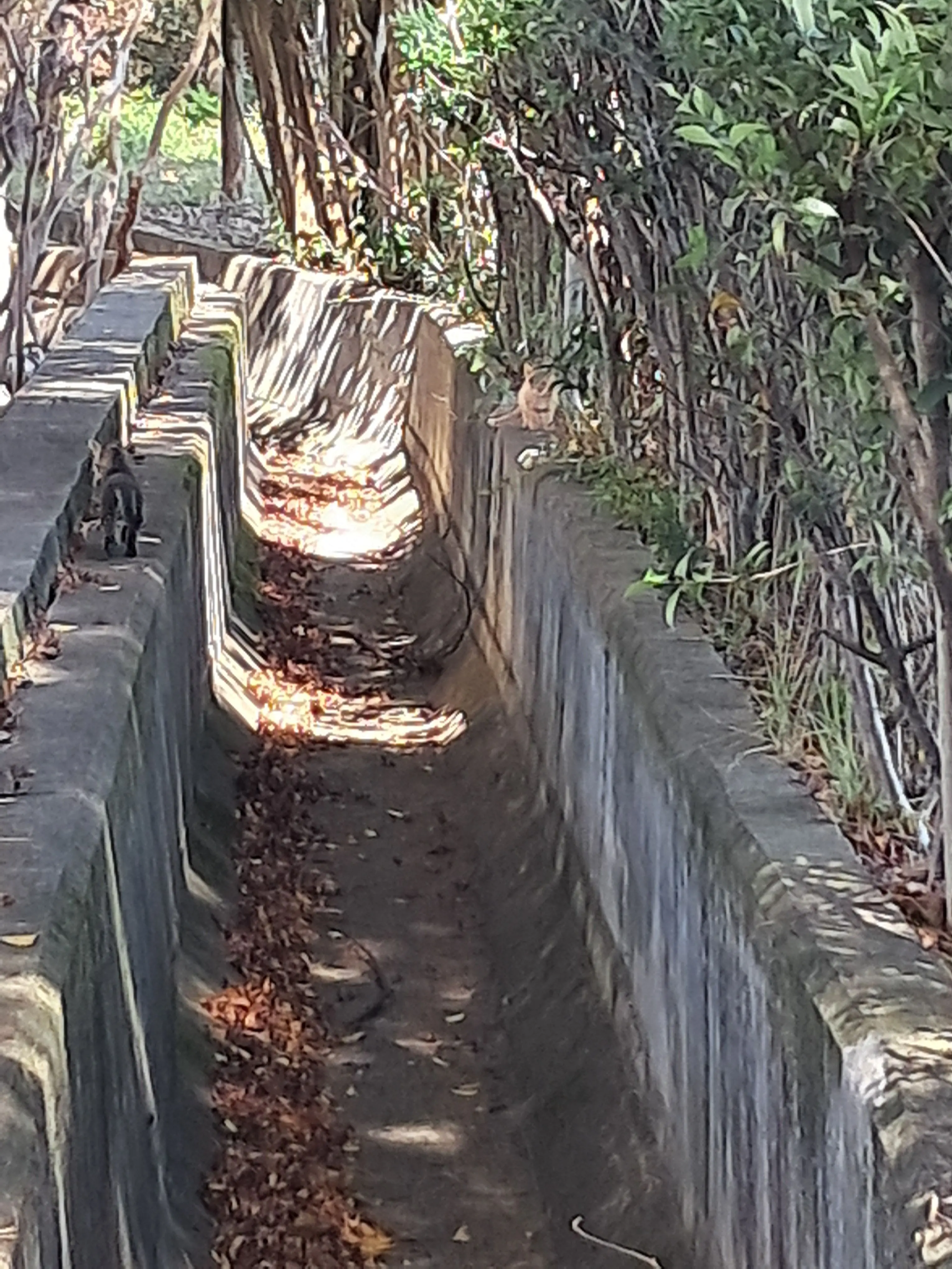 Whiteteethshark_OKINAWA의 체인지드 남자 고등학교