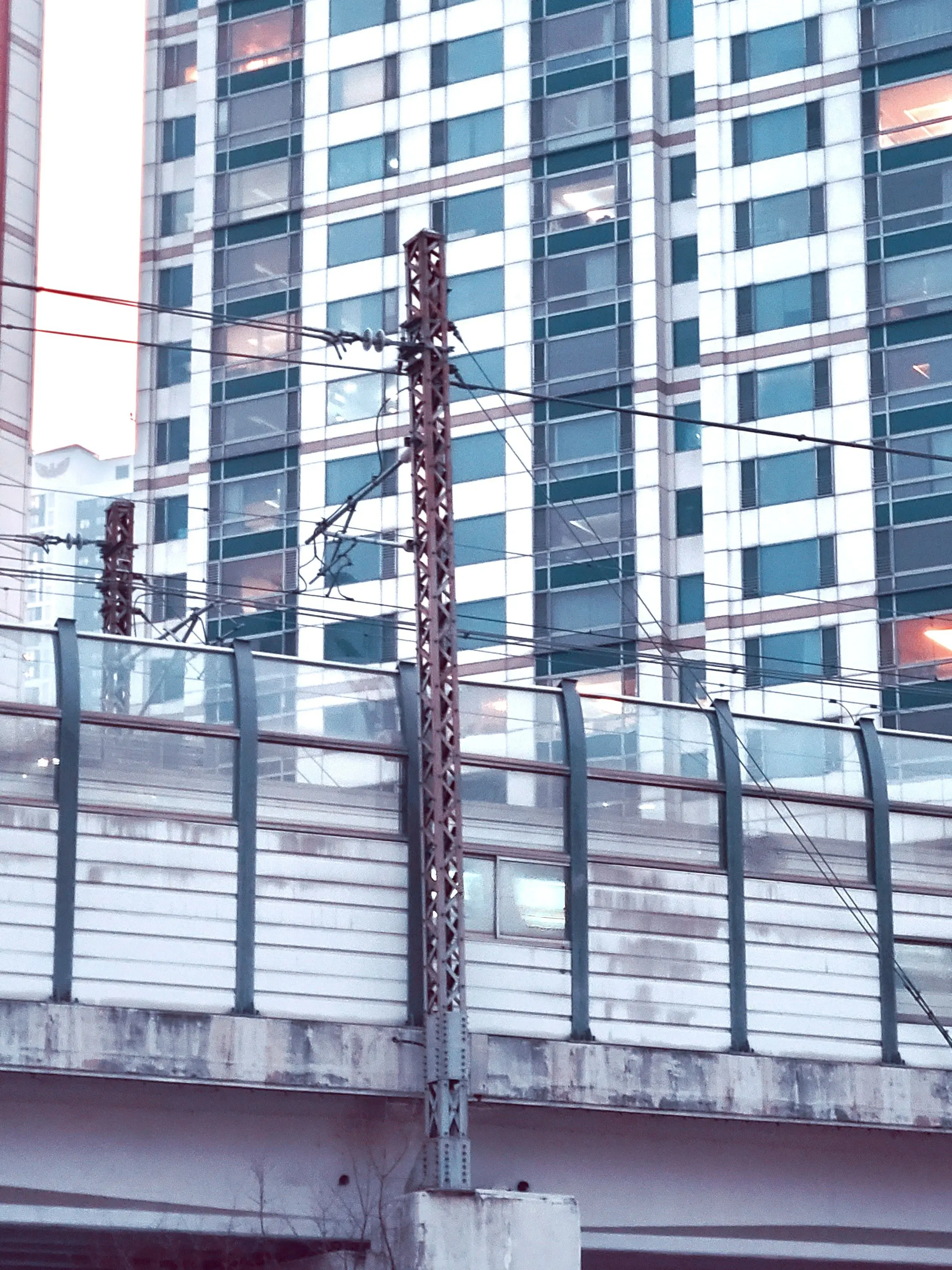 PettyDoor3802의 나도 기회 주는거야···?