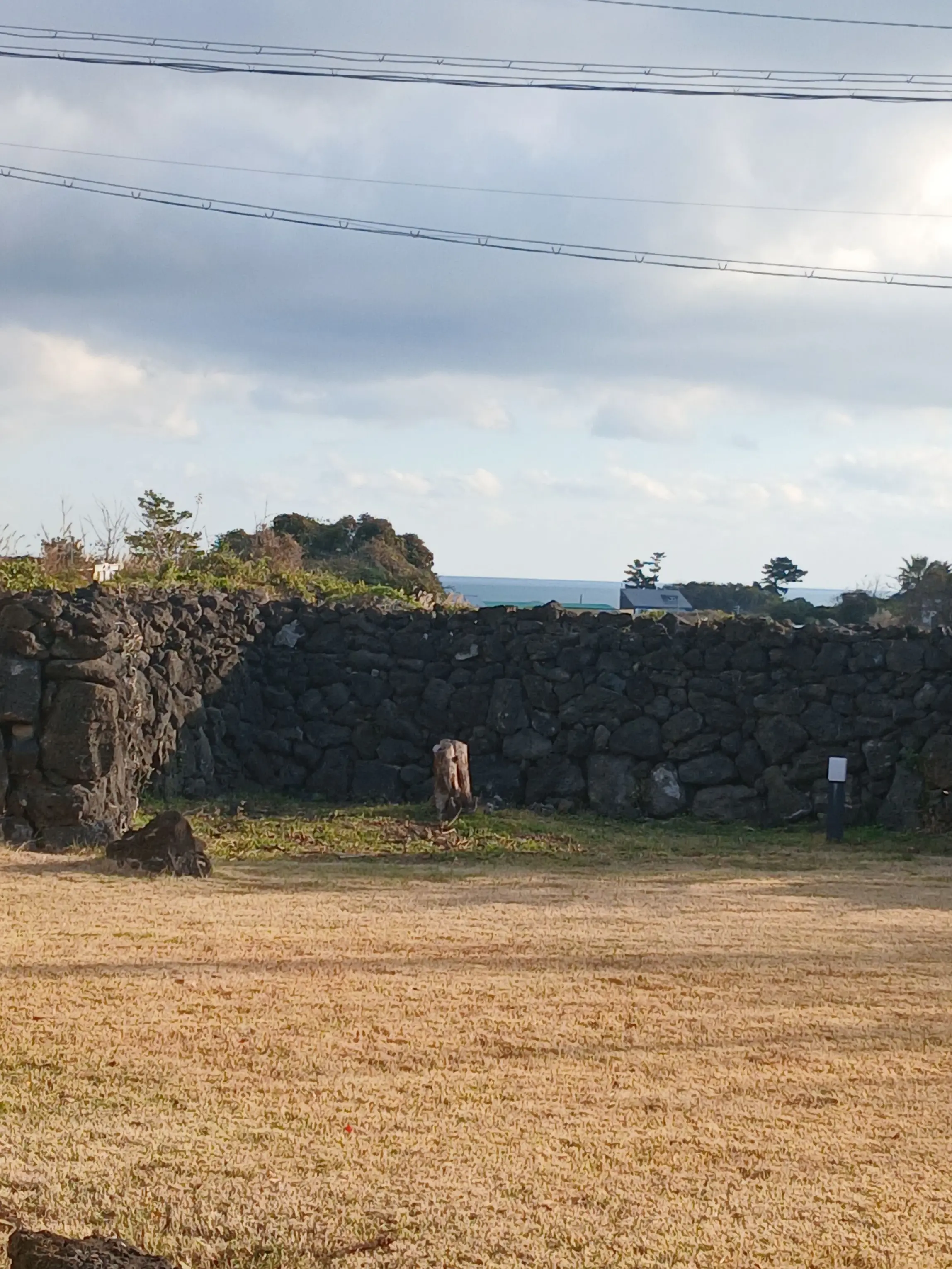 Hicaly의 팀샐과 파자마 파티!(+여우)