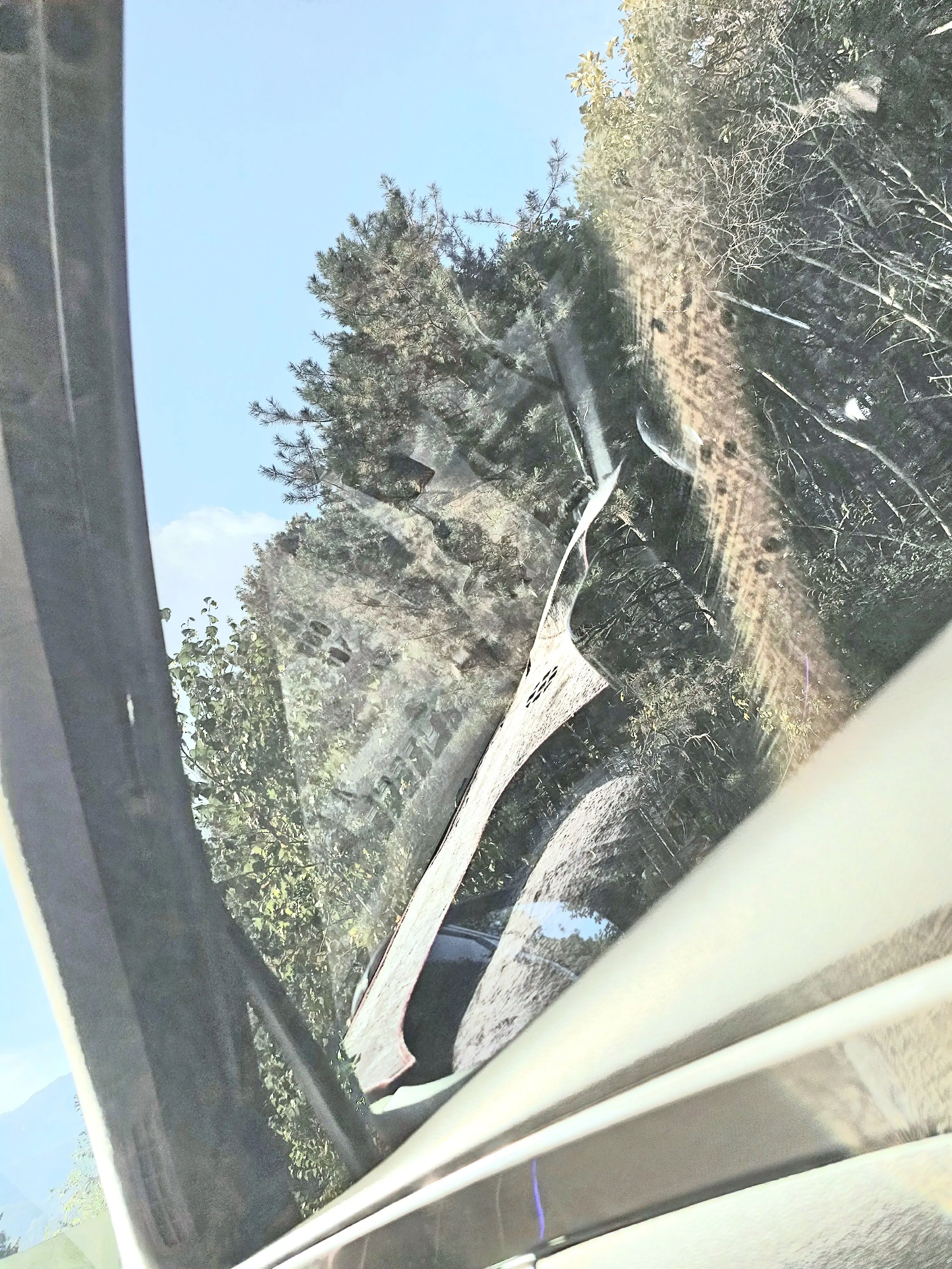 zeta_Whokids의 고고프렌즈 중학교