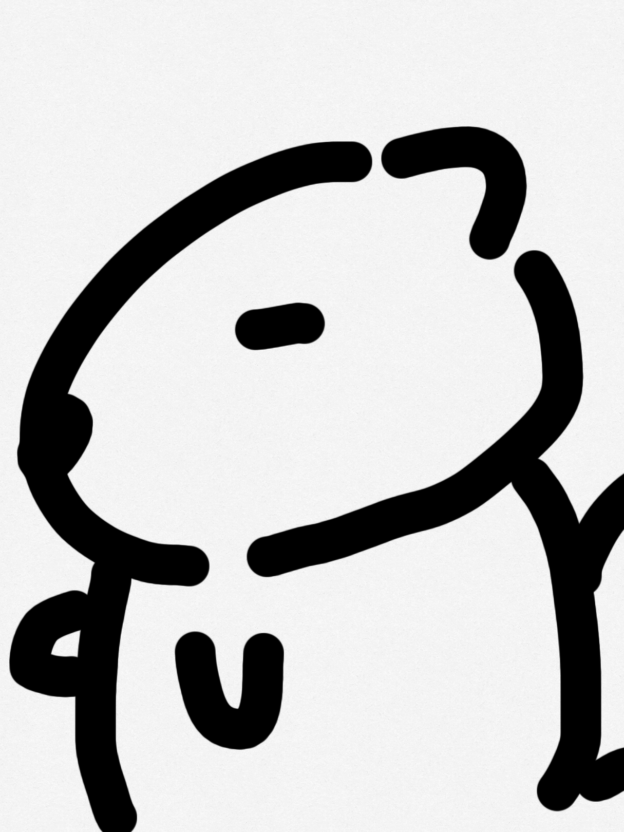 조직 제베원 대표 이미지