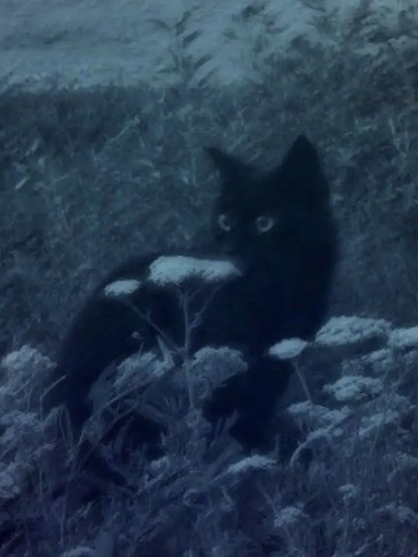 AA0304의 アイドルパロ🎤